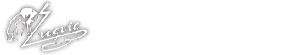 Fotograf Engvig